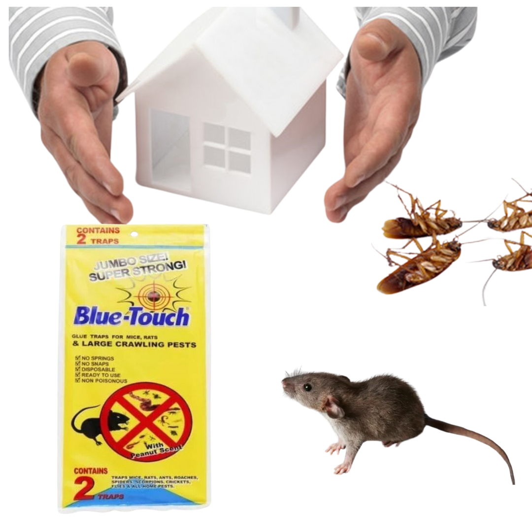 Pest Control